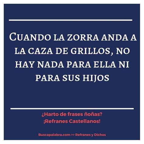 frases para zorras|Refranes y Frases de Zorra .